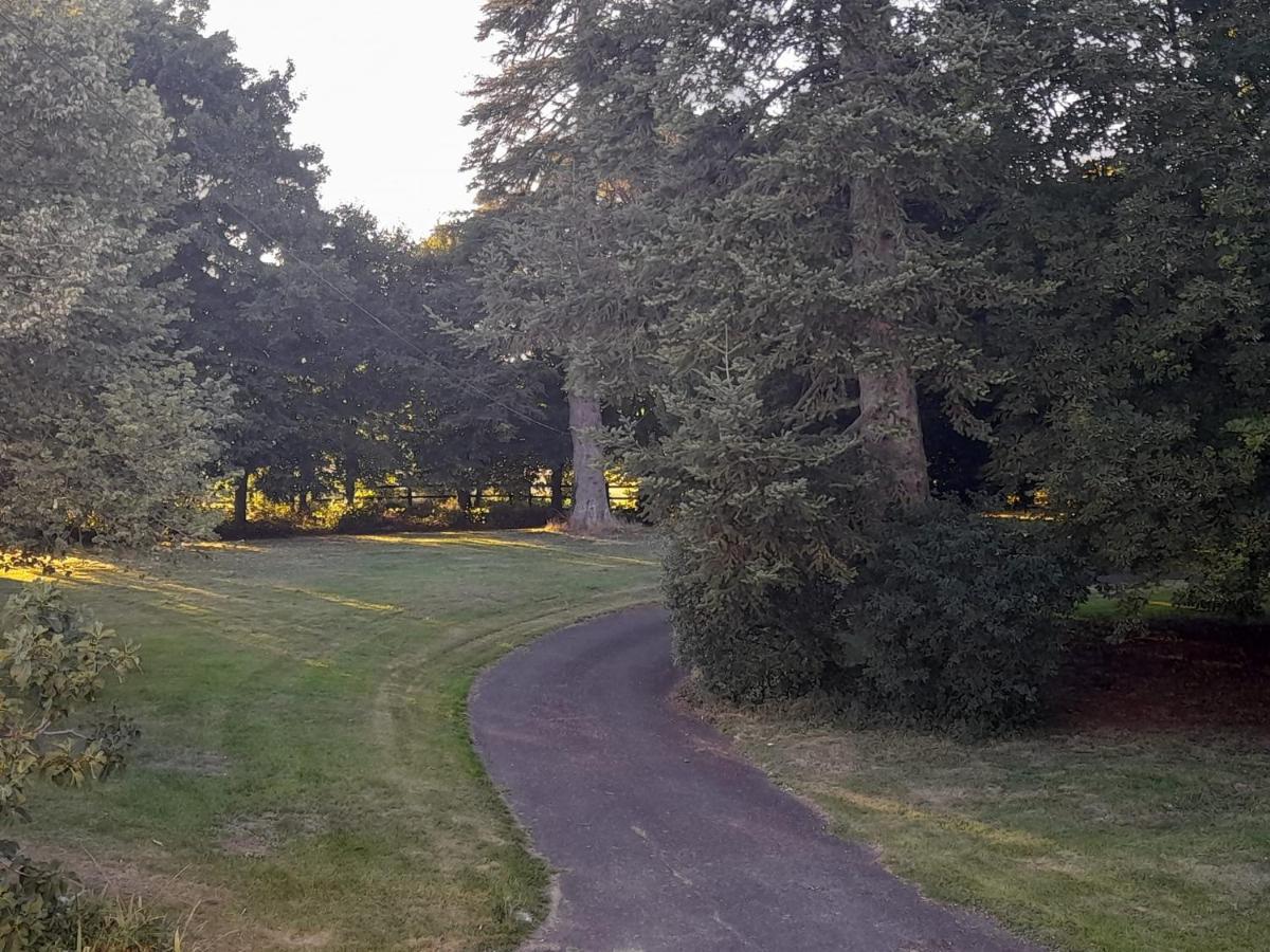 阿迪乐克斯城堡住宿加早餐旅馆 Ardilleux 外观 照片